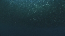 SARDINES, DAUPHINS, BAIT BALL