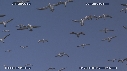 FOUS, CIEL