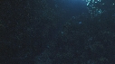CORAIL