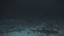 REQUINS POINTE BLANCHE