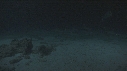 REQUINS POINTE BLANCHE
