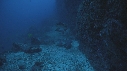 REQUINS POINTE NOIRE