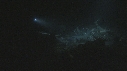 PLONGEUR, REQUINS POINTE BLANCHE
