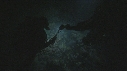 PLONGEUR, REQUINS POINTE BLANCHE