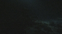 PLONGEUR, REQUINS POINTE BLANCHE
