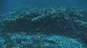 REQUINS POINTE BLANCHE