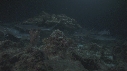 REQUINS POINTE BLANCHE