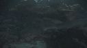 REQUINS POINTE BLANCHE