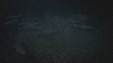 REQUINS POINTE BLANCHE, CARANGUE