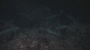REQUINS POINTE BLANCHE