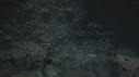 REQUINS POINTE BLANCHE