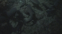 REQUINS POINTE BLANCHE