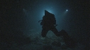 PLONGEUR, REQUIN POINTE BLANCHE