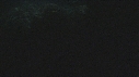PLONGEUR, REQUIN POINTE BLANCHE