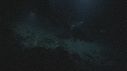 PLONGEUR, REQUIN POINTE BLANCHE