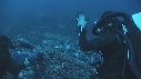PLONGEUR, DERMATOLEPIS