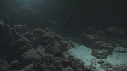 REQUINS POINTE BLANCHE