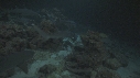 REQUINS POINTE BLANCHE