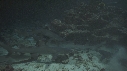REQUINS POINTE BLANCHE
