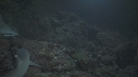 REQUINS POINTE BLANCHE, CARANGUE