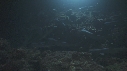 REQUINS POINTE BLANCHE