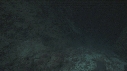 REQUINS POINTE BLANCHE, POISSON