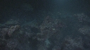 REQUINS POINTE BLANCHE