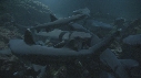 REQUINS POINTE BLANCHE