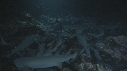 REQUINS POINTE BLANCHE, CARANGUE
