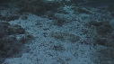 REQUINS POINTE BLANCHE, SOLE
