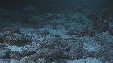 REQUINS POINTE BLANCHE, SOLE