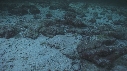 REQUINS POINTE BLANCHE, SOLE