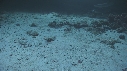 REQUINS POINTE BLANCHE, SOLE