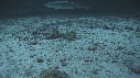 REQUINS POINTE BLANCHE, SOLE