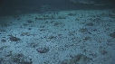 REQUINS POINTE BLANCHE, SOLE