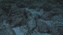 REQUINS POINTE BLANCHE, SOLE