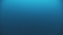 REQUINS POINTE BLANCHE, CARANGUE