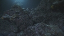 REQUINS POINTE BLANCHE