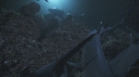 REQUINS POINTE BLANCHE