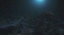 REQUINS POINTE BLANCHE, CARANGUE