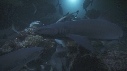 REQUINS POINTE BLANCHE