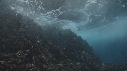 VAGUES