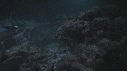 REQUINS POINTE BLANCHE