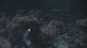 REQUINS POINTE BLANCHE
