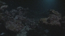 REQUINS POINTE BLANCHE