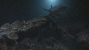 REQUINS POINTE BLANCHE