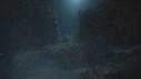 REQUINS POINTE BLANCHE, POISSON TROMPETTE
