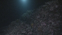 REQUINS POINTE BLANCHE