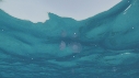 MEDUSES, REFLET