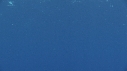 MEDUSE